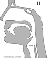 Vocale u.png