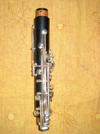 Cl particolare 2 med.jpg