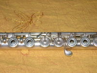 Fl particolare 1 med.jpg