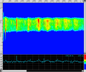 Spettro BOT PiccolaArmonico.png