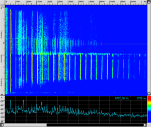 Spettro CL Armonici3.png