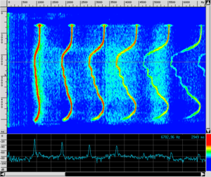 Spettro CL Bocchini2.png