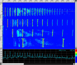Spettro CL Ottava.png
