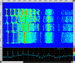 Spettro TR Bocchino.png