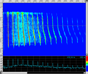 Spettro TR Glissato.png