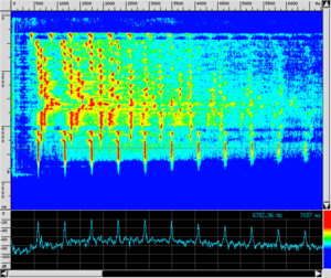 Spettro TR SAMPLE.png