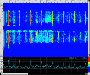Spettro VL LaVuoto.png