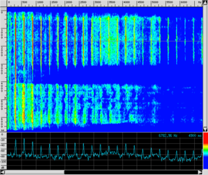 Spettro VL Legno.png