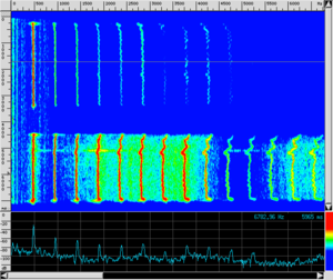 Spettro VOX PianoForte.png