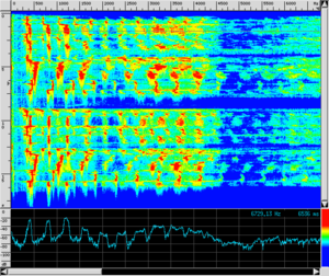 Spettro VOX SampleWET.png