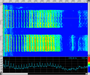 Spettro VOX TestaPetto.png
