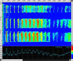 Spettro VOX Vibrato.png