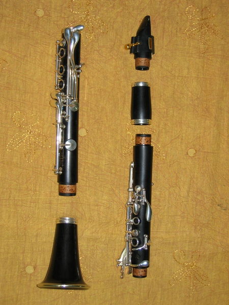 File:Cl parti med.jpg